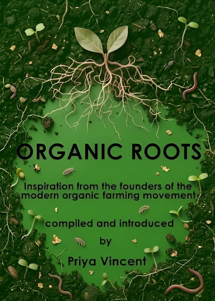 whatsapp image 2026 03 09 at 3,38,21 pm picsart aiimageenhancer